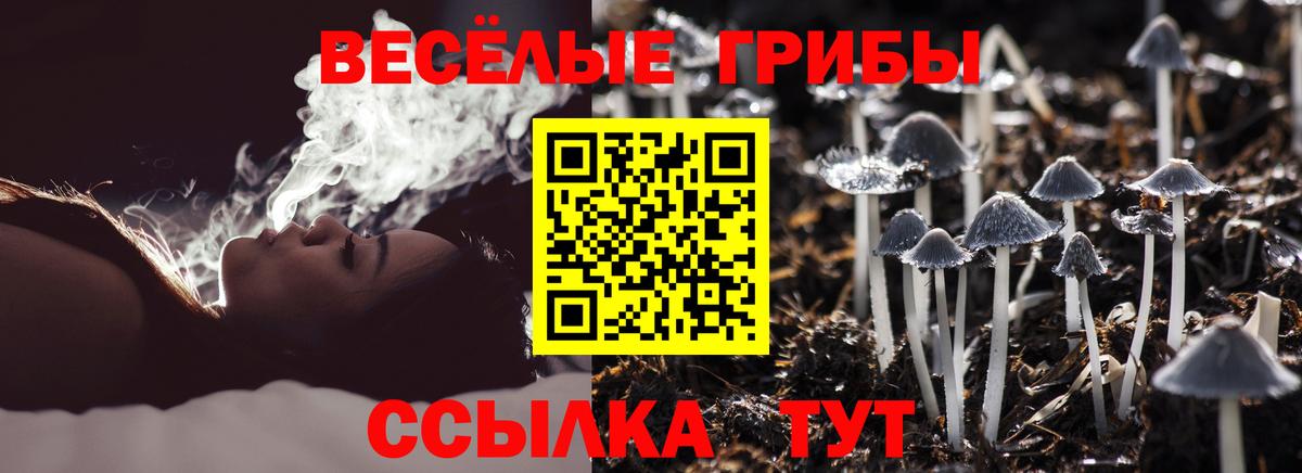 Галлюциногенные грибы Psilocybine cubensis  Вход с VPN  Новосибирск 